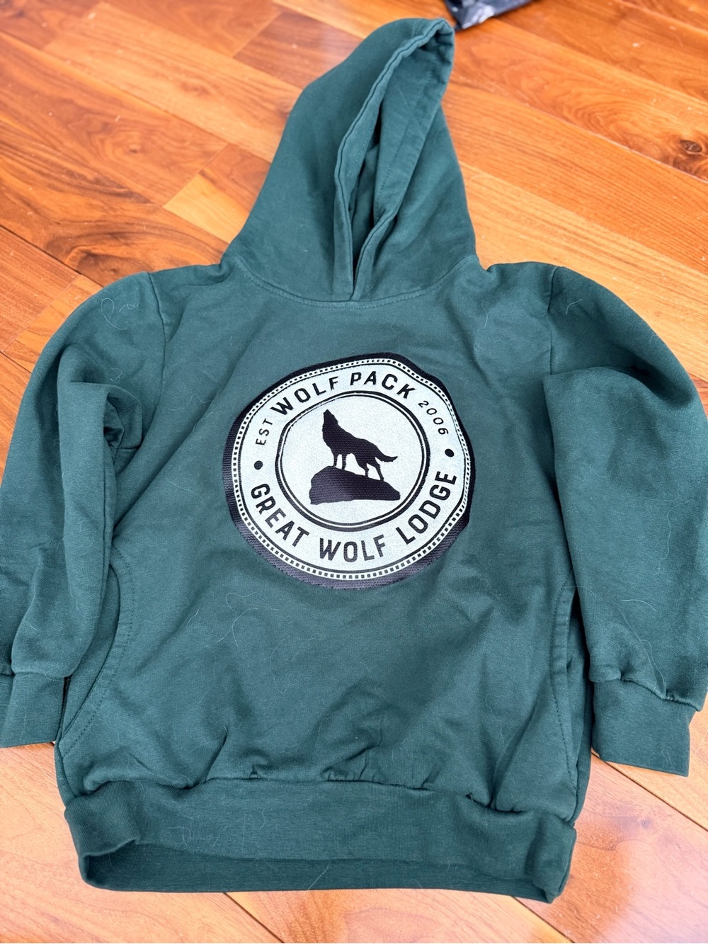 Great wolf lodge size medium kids green hoodie